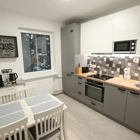 Apartment Comfy 2 - Free Parking - 350mbps Wifi - Netflix Kaunas